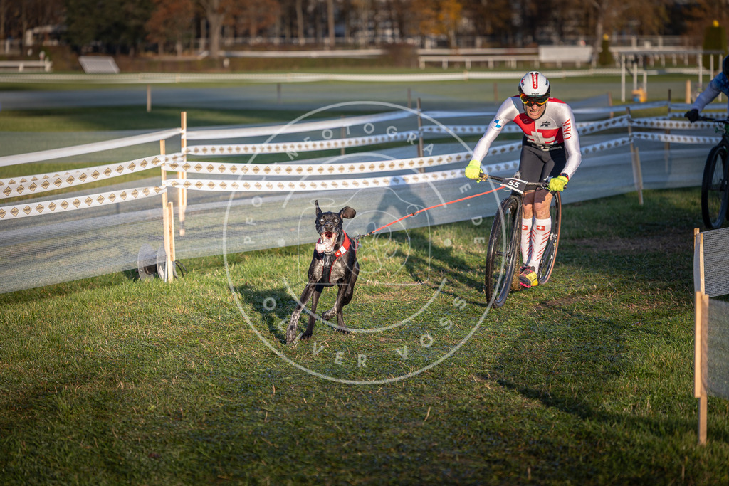 CaniXpix_0L8A3035 | Hundefotografie, Tierfotograf, Pfotenfotografie, Fotoshooting Hund, Hunde Portrait, Hundesport, Hundeportraits, Heideshooting, Hunde, Sportfotograf, Hundefotograf, Turnierhundsport, THS,  - Realisiert mit Pictrs.com
