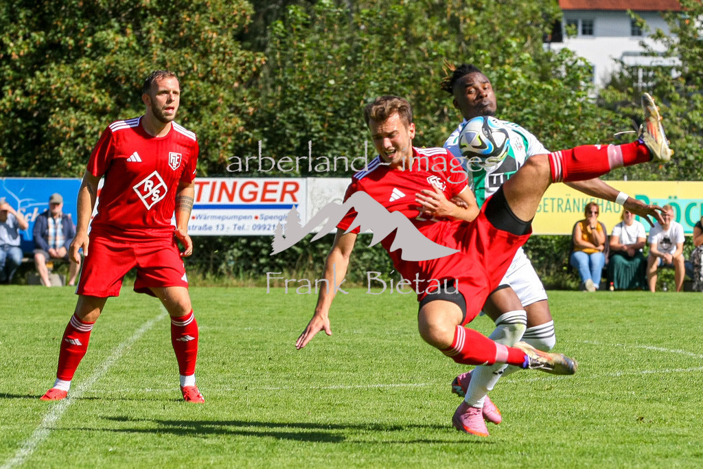 993T1276 | Medien- Sport- Entertainmentfotos