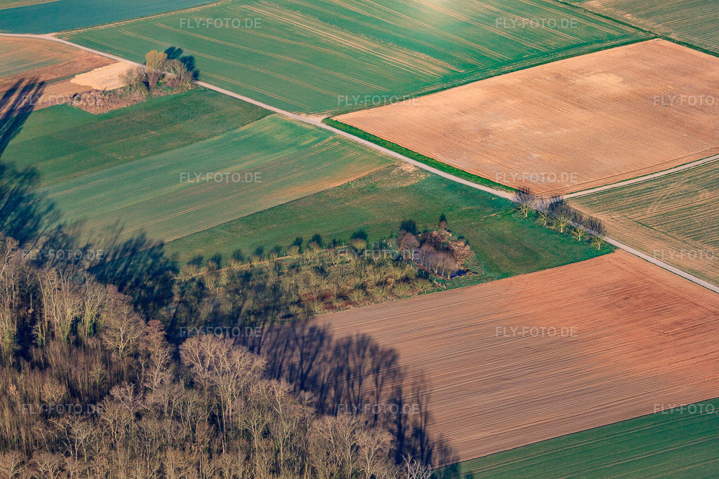 Luftbild: Waldrand am Hofgraben im Ortsteil Dreihof in Essingen im Bundesland Rheinland-Pfalz in Deutschland.Foto: IMG_63282.jpg vom 20.03.2014 durch Werner Riehm/FLY-FOTO.deAuflösung des Originals: 4752 x 3168 px