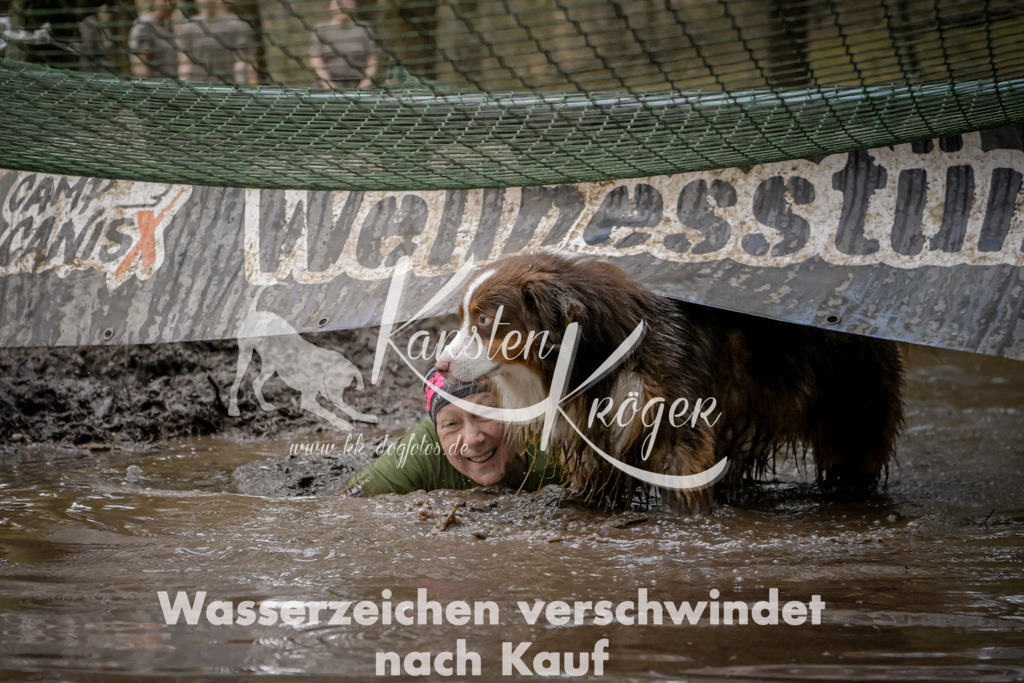0952_ZZ98509 | kk-dogfotos