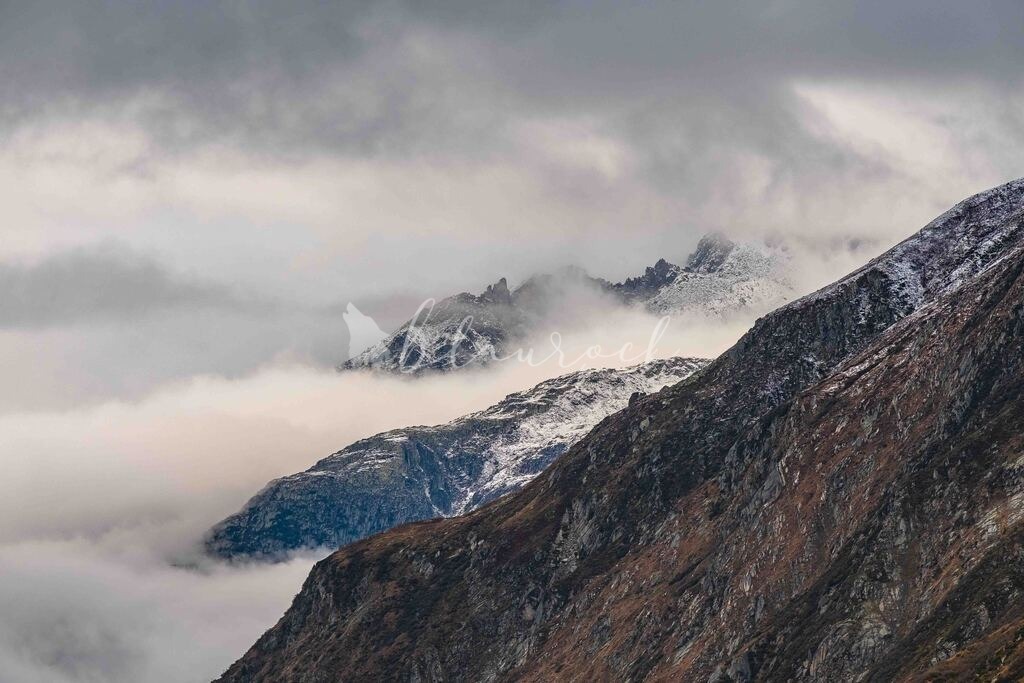 unbenannt-1-15 | Sportbilder, Sportfotograf, Hochzeits- und Eventfotografin, Flugshows, Portraits und Tiershooting, Aviation, Downhill, Nationalleague, Swissleague, International