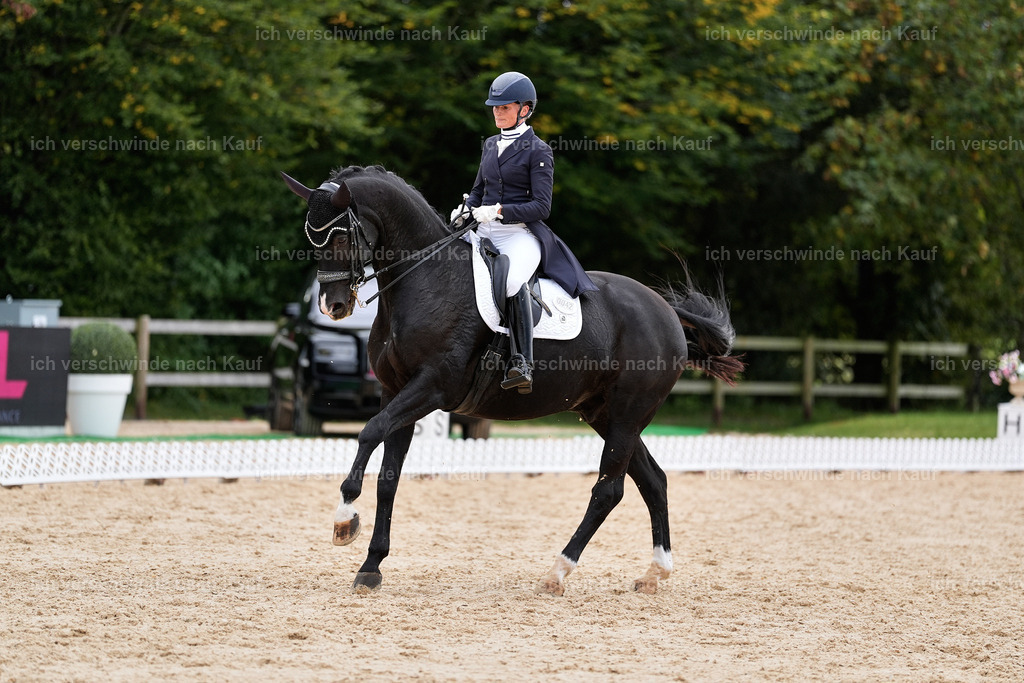 11-042-Dressur S___-StoibPH-1207 | working equitationturnier fotograf videograf stoibphotography marixx film working equitation deutschland reitsport turnierfotografie eventfotografie equestrian events