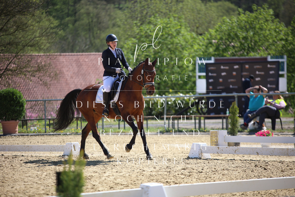 IMGT7999 | pl-fotografie