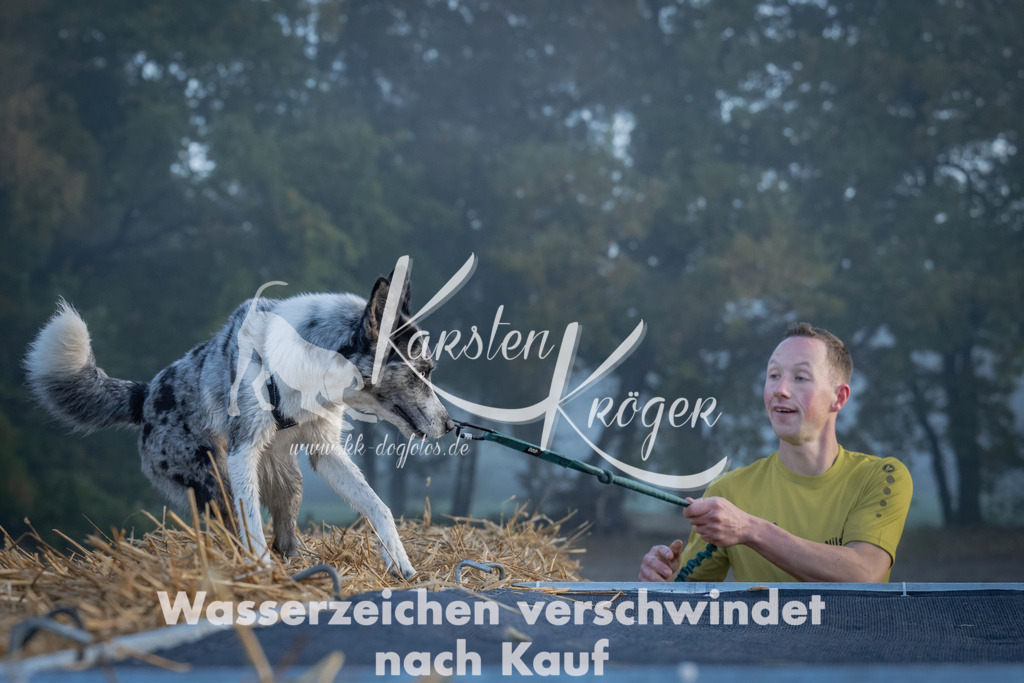 0847_ZZ99014 | kk-dogfotos