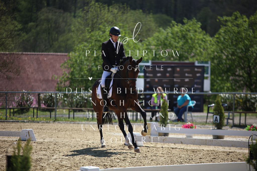 IMGT7418 | pl-fotografie