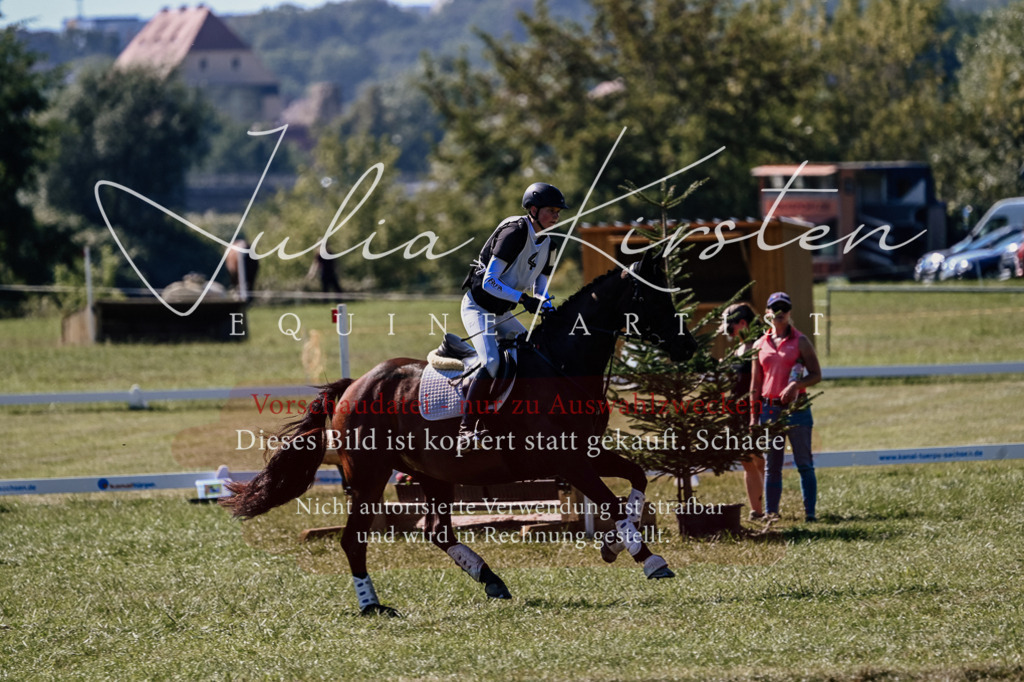 DSC_1450 | Pferde- und Turnierfotografie in Westsachsen. Pferdeportraits, Auftragszeichnungen und intuitive Kunst.