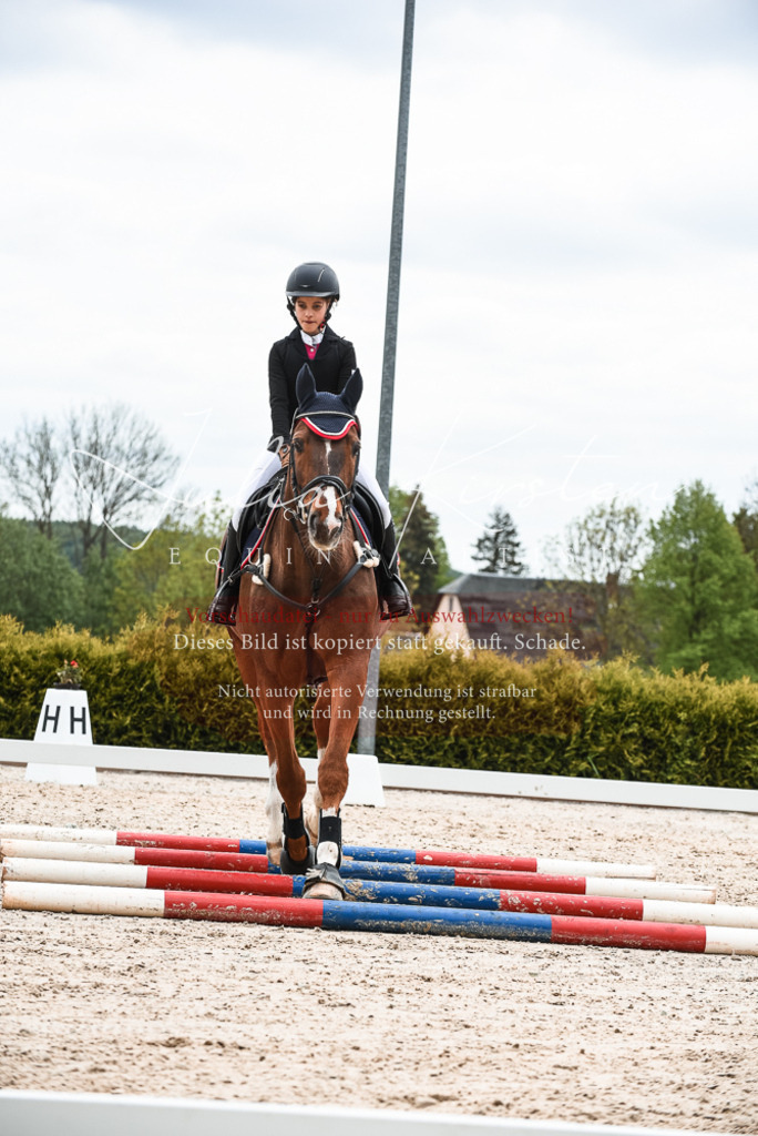 20230518_JK-Röhrsdorf-10-433 | Pferde- und Turnierfotografie in Westsachsen. Pferdeportraits, Auftragszeichnungen und intuitive Kunst.
