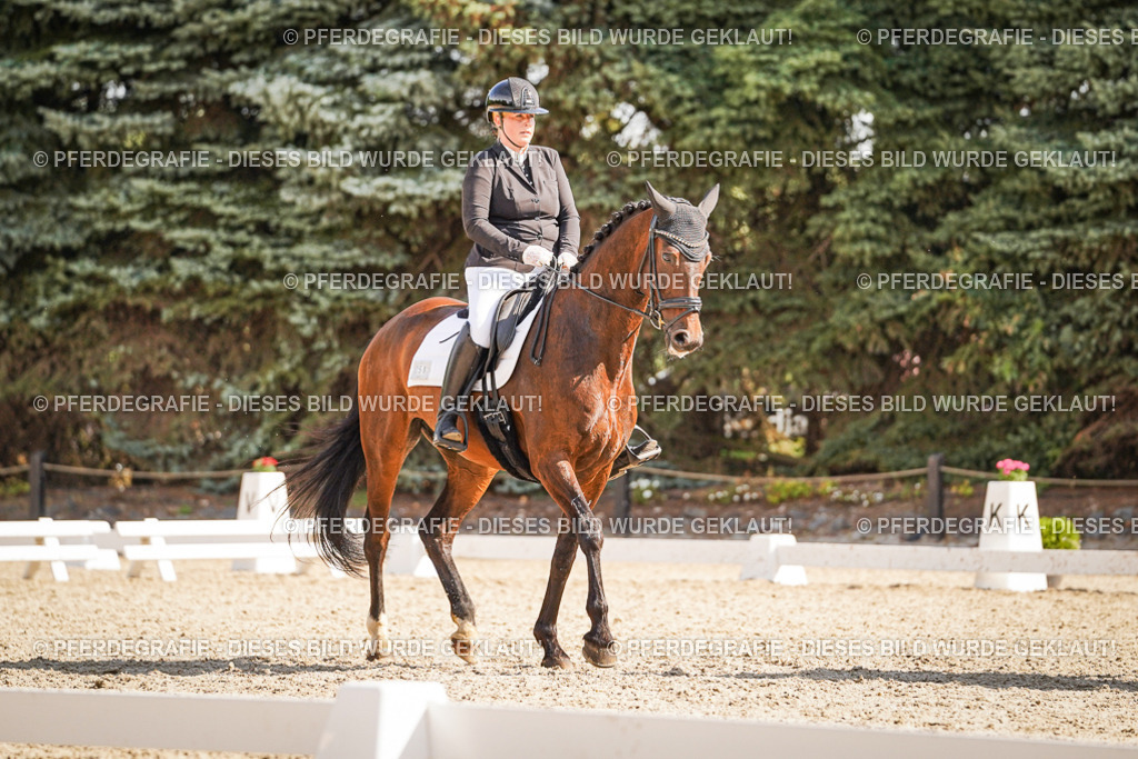 DSC00662 | Pferdegrafie