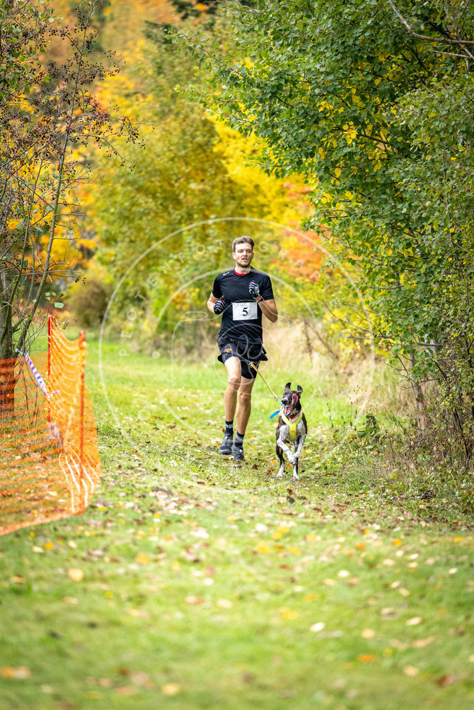 Pfotenfotografie_DV3A1629 | Hundefotografie, Tierfotograf, Pfotenfotografie, Fotoshooting Hund, Hunde Portrait, Hundesport, Hundeportraits, Heideshooting, Hunde, Sportfotograf, Hundefotograf, Turnierhundsport, THS,  - Realisiert mit Pictrs.com