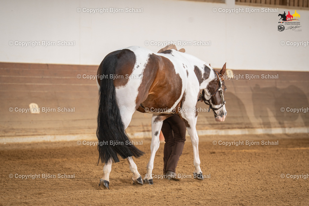 LMS05468 | BS-foto