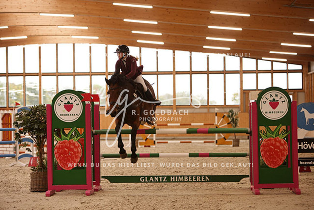 1J2A9753Juliane Weihs_ Hell Boy van de Zuuthoeve Z_ Kn278_ Glantz_ Hohen Wieschendorf | Foto- und Videografie für alles rund ums Pferd. Hochwertige Bilder und Videos vom Spring- und Dressurreiten, Voltigieren & mehr. Jetzt aktuelle Veranstaltungen und Preise im Shop ansehen. - Realisiert mit Pictrs.com