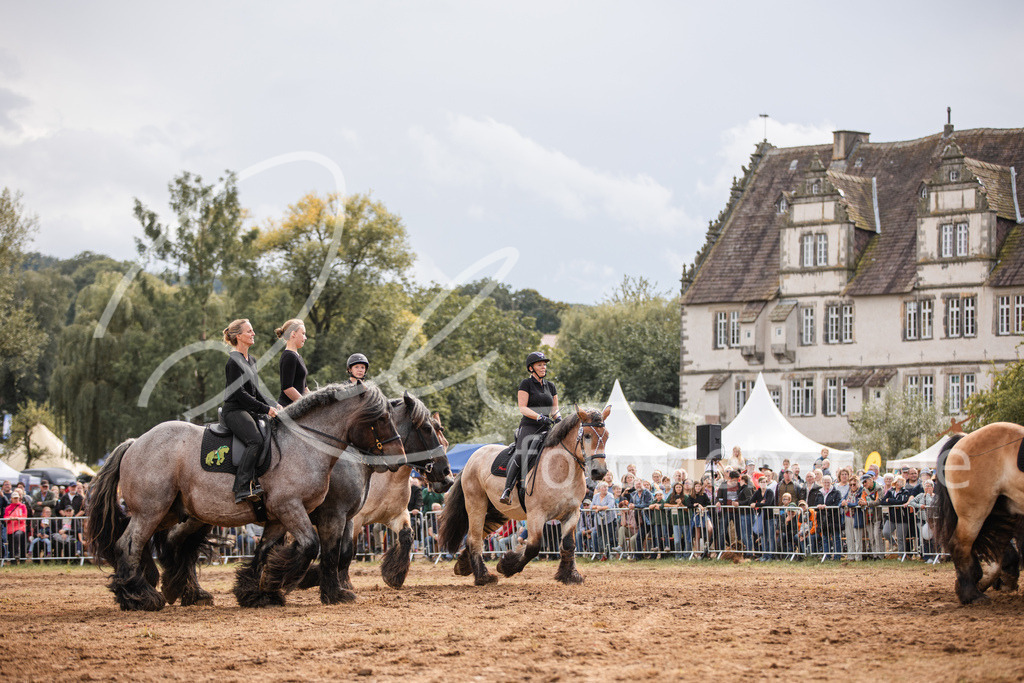 846A4017 | fotosleben - Realisiert mit Pictrs.com