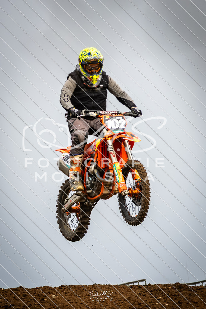20260321-162A1121 | moni.sica.fotografie - Realisiert mit Pictrs.com