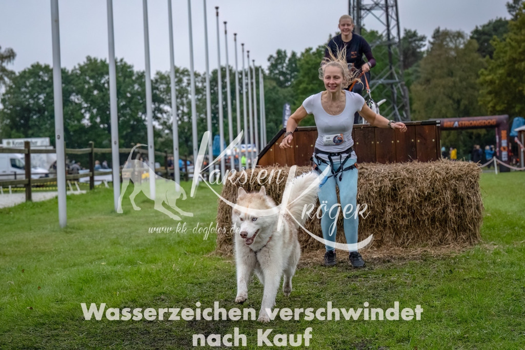 1212--9 | kk-dogfotos