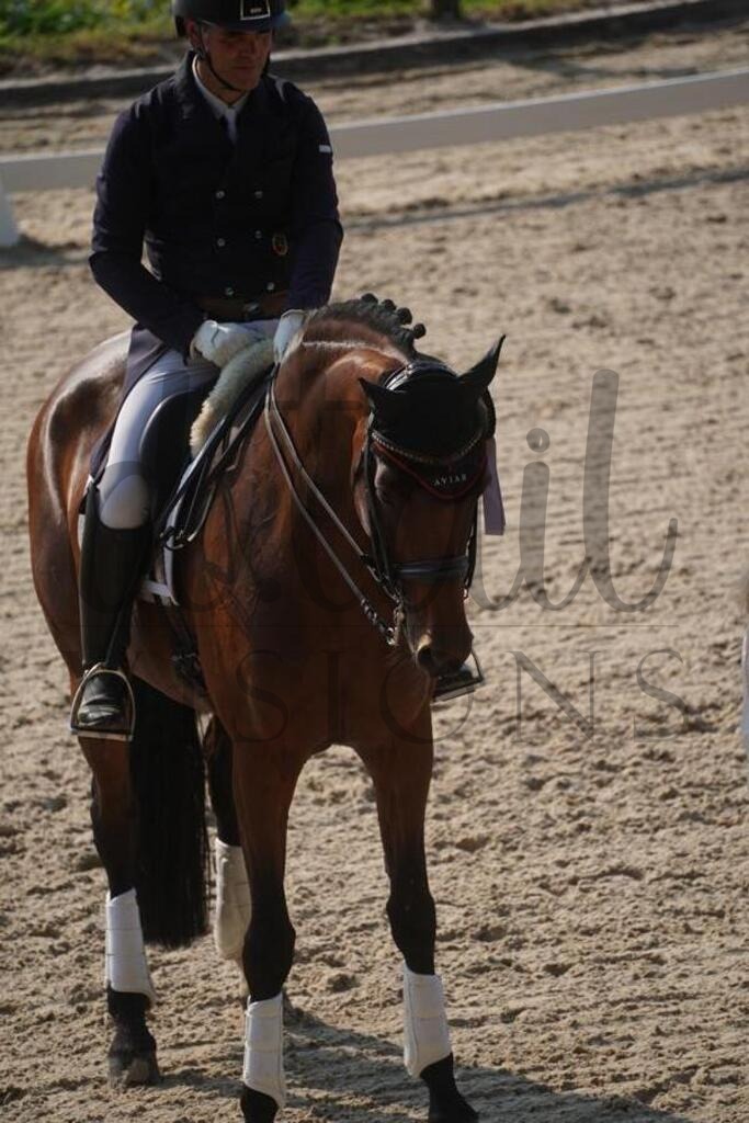 tgbhfreitag (1765) | d.tail Visions - Shop - Realisiert mit Pictrs.com