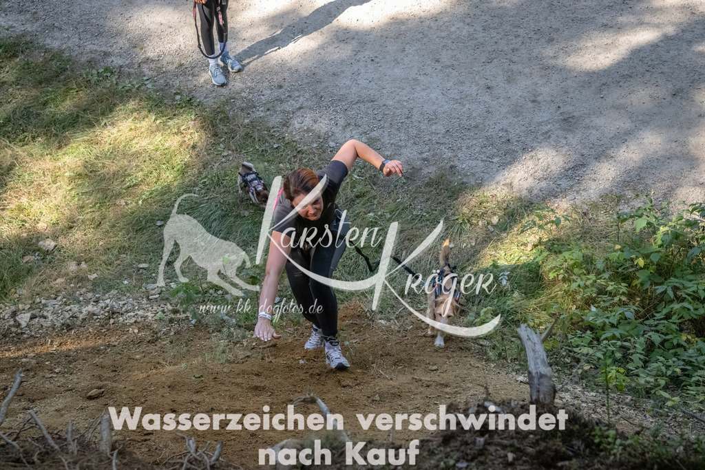 1220_ZZ94047 | kk-dogfotos