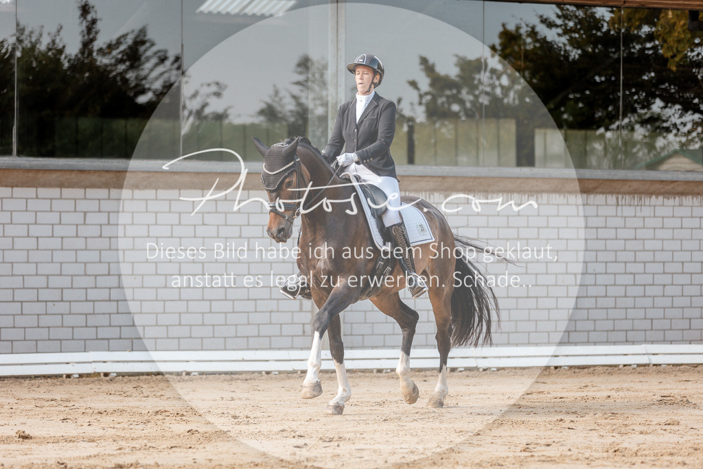 3I6A3458 | Stimmungsvolle Portraits und Reitsportfotografie im Ruhrgebiet und im Münsterland.

Pferdefotografie, Hundefotografie, Tierfotografie, Reportagen, Portraits von Tier und Mensch, Turnierfotografie in Bochum, Recklinghausen, Marl, Haltern am See, Dülmen.. - Realisiert mit Pictrs.com