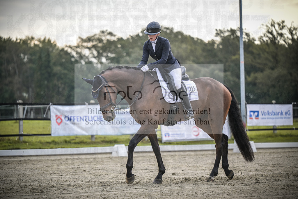 DOS_1668 | Entdecke hochwertige Reitturnierfotos von Foto Oger. Professionell, emotional und authentisch – jetzt Lieblingsmomente im Shop bestellen.Deutschlandweite Turnierfotografie. - Realisiert mit Pictrs.com