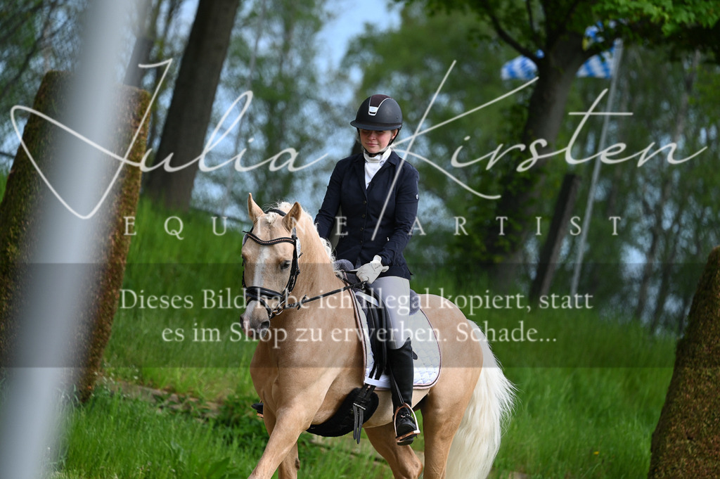 20230512_JK-Röhrsdorf-02-341 | Pferde- und Turnierfotografie in Westsachsen. Pferdeportraits, Auftragszeichnungen und intuitive Kunst.