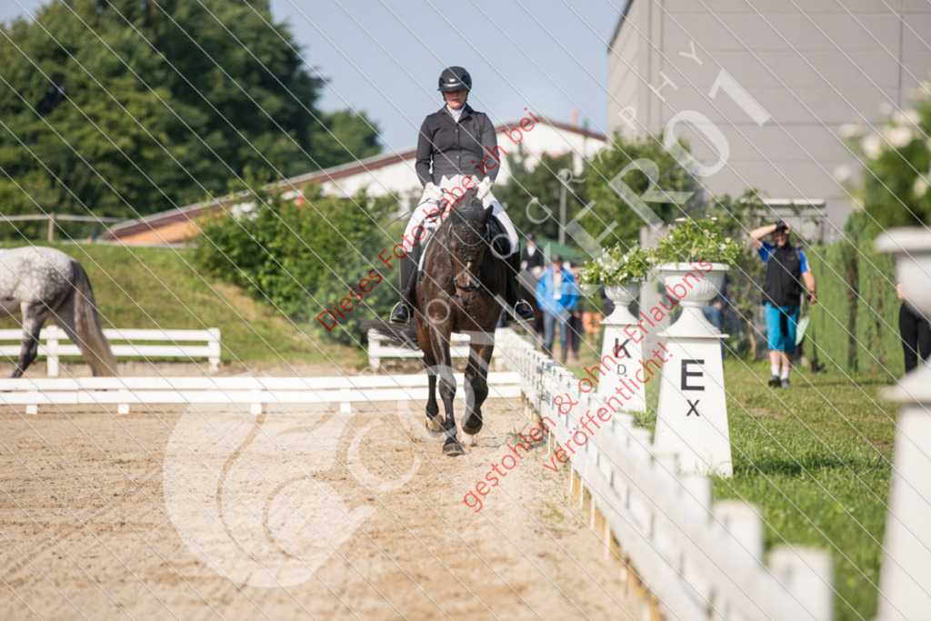 IMG_1909 | Sport-, Event- und Tierfotos in Profiqualität. Einfach auswählen, bestellen und herunterladen. Dein Moment – perfekt festgehalten.