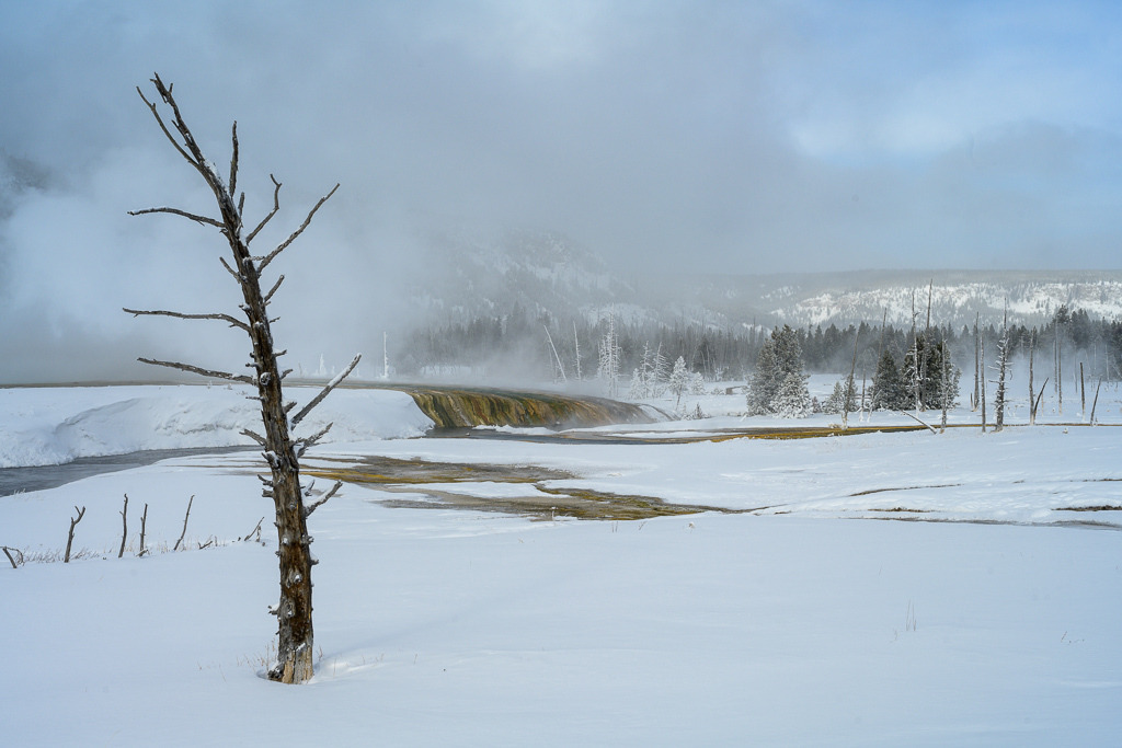 2024-088 | Firehole Basin, Black Sand Geyser Basin. - Realisiert mit Pictrs.com