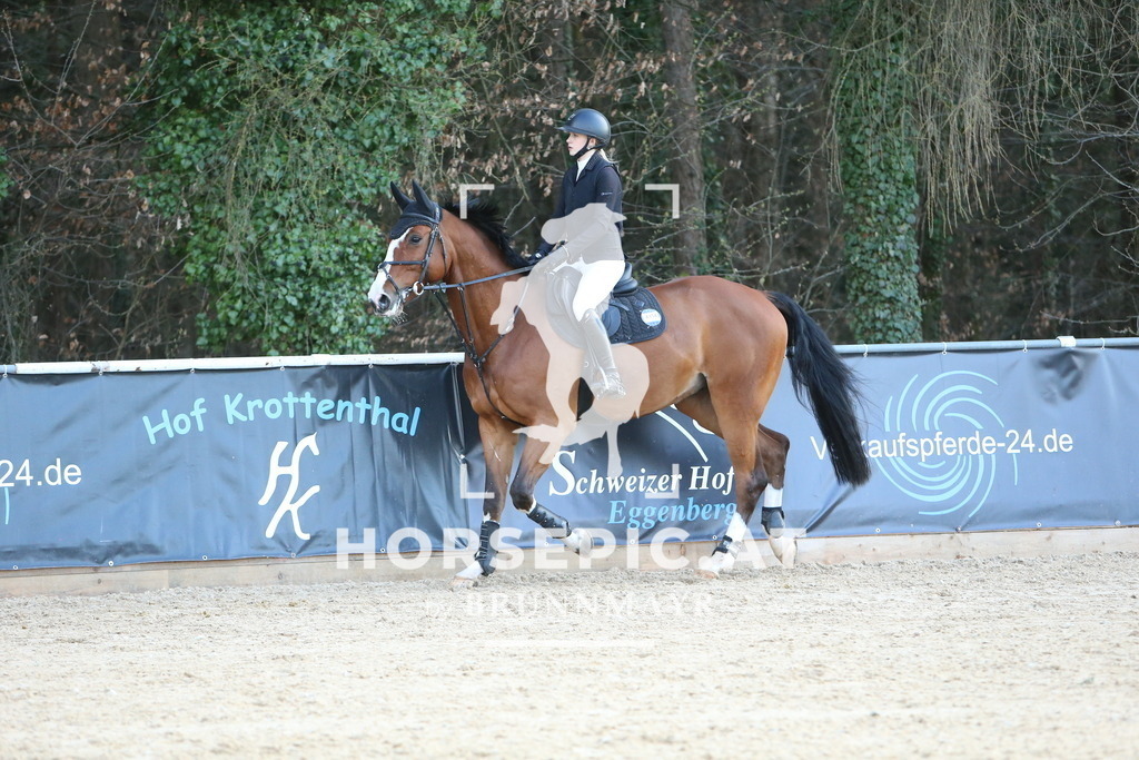 DL2Q0826 | Willkommen bei Brunnmayr - Design & Fotografie – Ihrem Spezialisten für Reitturniere und Pferdeveranstaltungen in Oberösterreich, Salzburg und Bayern! Seit über 17 Jahren sind wir leidenschaftlich dabei.