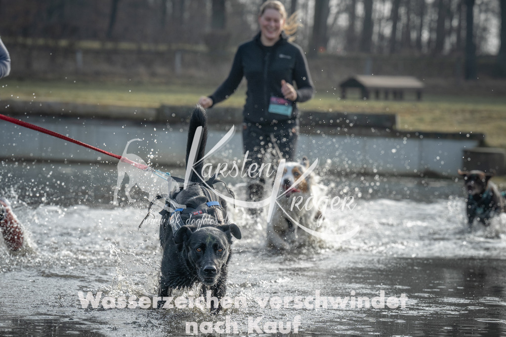 1010_ZZ96060 | kk-dogfotos