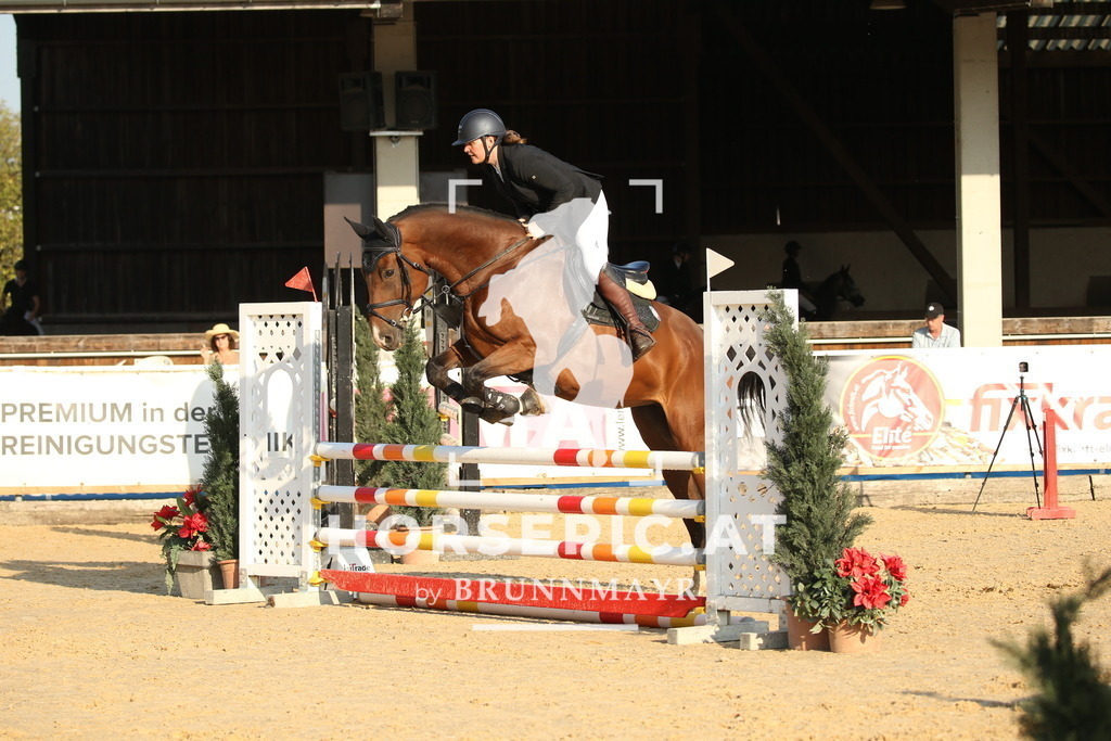 DL2Q6450 | Willkommen bei Brunnmayr - Design & Fotografie – Ihrem Spezialisten für Reitturniere und Pferdeveranstaltungen in Oberösterreich, Salzburg und Bayern! Seit über 17 Jahren sind wir leidenschaftlich dabei.