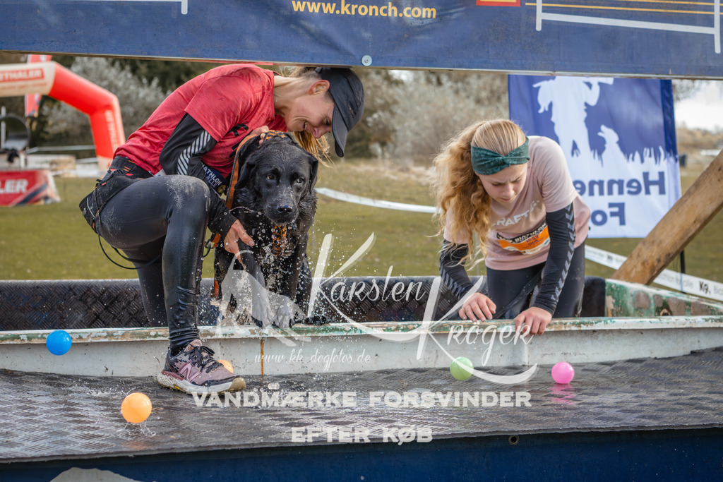 1410_ZZ93590-2 | kk-dogfotos