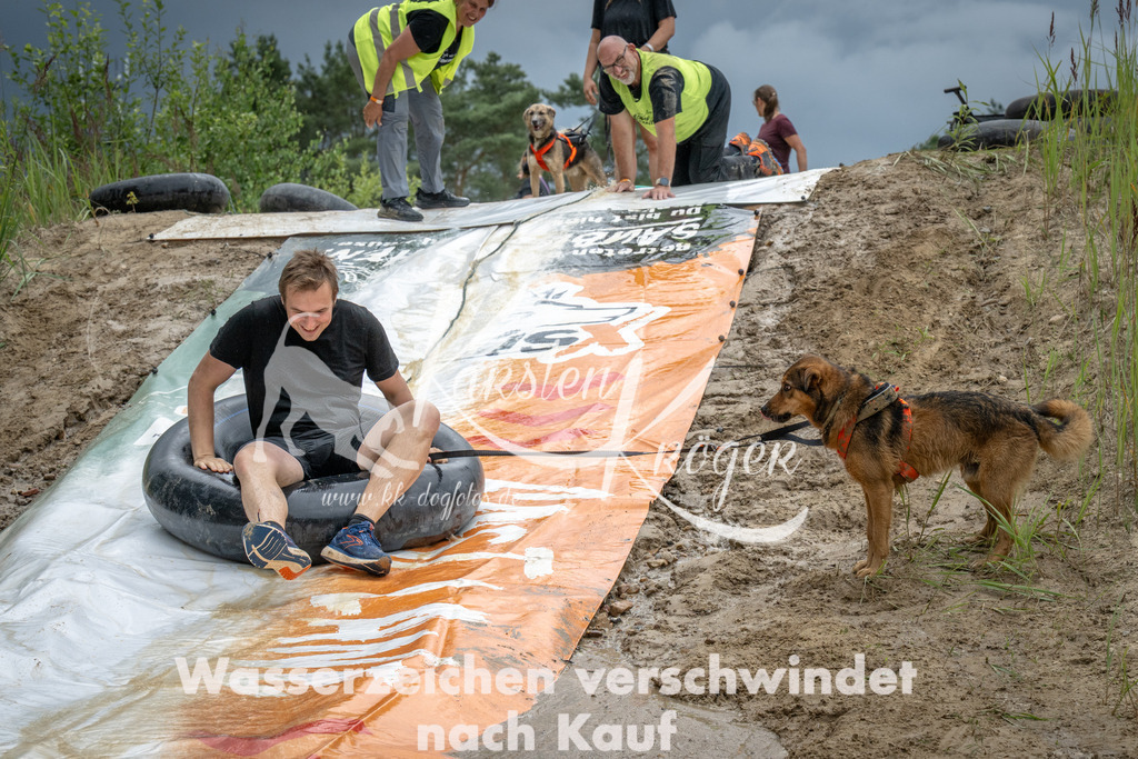 1555_ZZ99370 | kk-dogfotos
