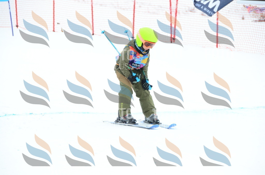 DSC_1865 | holidayphoto