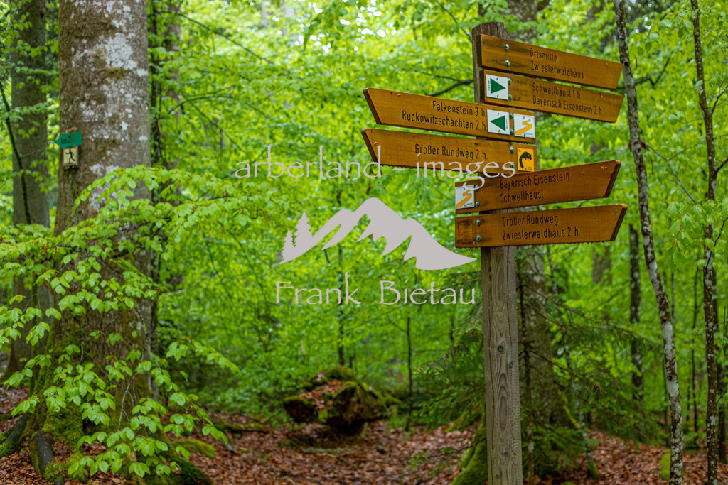 OE7A5382 | Wegweiser im Nationalpark, Hinweisschilder, Wanderwege