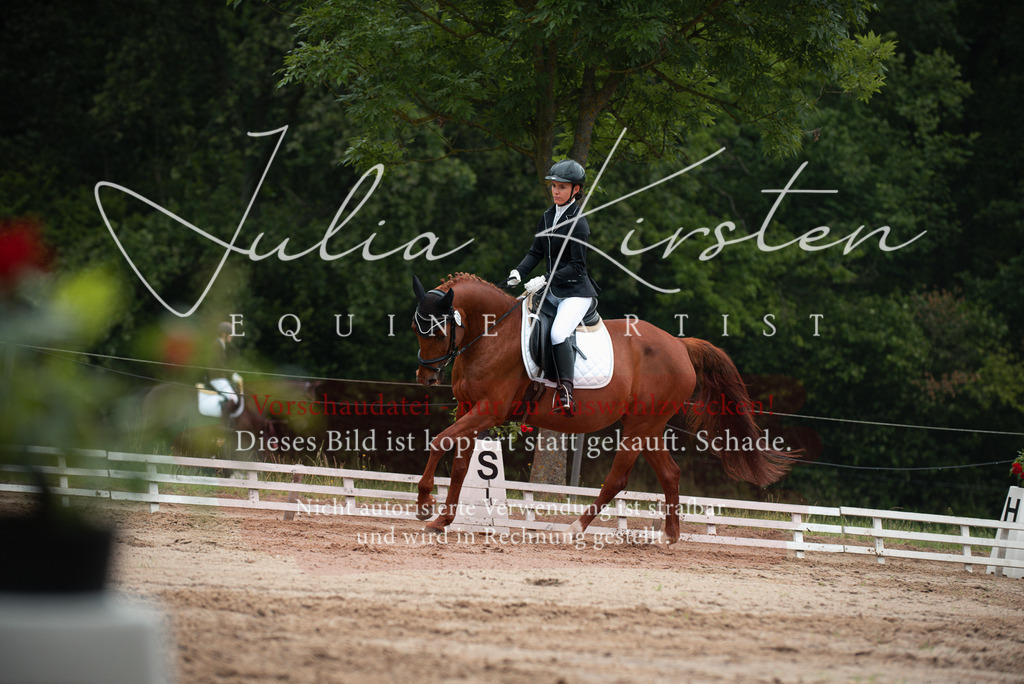 DSC_9807 | Pferde- und Turnierfotografie in Westsachsen. Pferdeportraits, Auftragszeichnungen und intuitive Kunst.