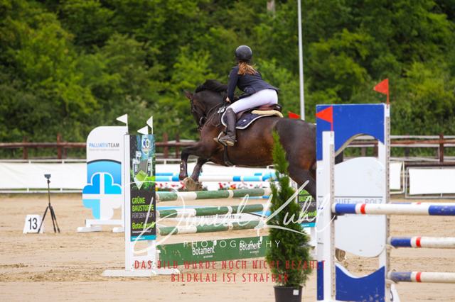 DKP41715 | Turniersportfotografie; Pferdefotografie; Dressurfotografie