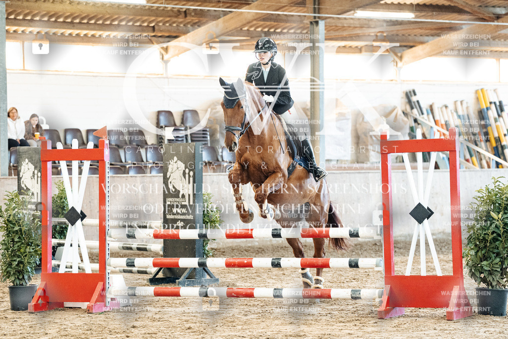 CK904086 | Turnierfotografie Pferdefotografie Trier Rheinland-Pfalz Pferdesport Reitsport Tierfotografie Sportfotografie Pferdevideo Pferdevideografie Equestrianvideography equestrianphotography  - Realisiert mit Pictrs.com