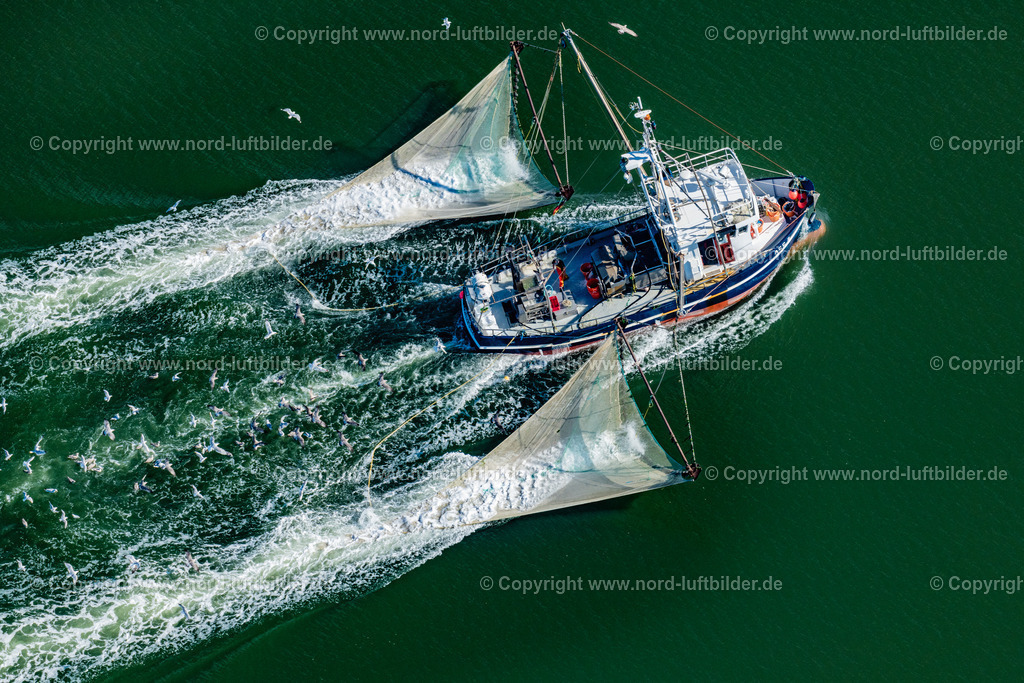 Norderney_Krabbenkutter_Acc_2_Emma_ELS_5890050923 | NORDERNEY 05.09.2023 Krabbenkutter in Fahrt " ACC 2 Emma " in den Prilen vor Norderney im Bundesland Niedersachsen, Deutschland. // Shrimp cutter in motion "ACC 2 Emma" in the Prilen off Norderney in the state of Lower Saxony, Germany. Foto: Martin Elsen