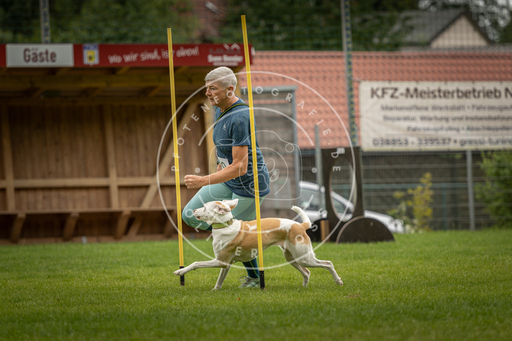Pfotenfotografie_DV3A8299 | Hundefotografie, Tierfotograf, Pfotenfotografie, Fotoshooting Hund, Hunde Portrait, Hundesport, Hundeportraits, Heideshooting, Hunde, Sportfotograf, Hundefotograf, Turnierhundsport, THS,  - Realisiert mit Pictrs.com