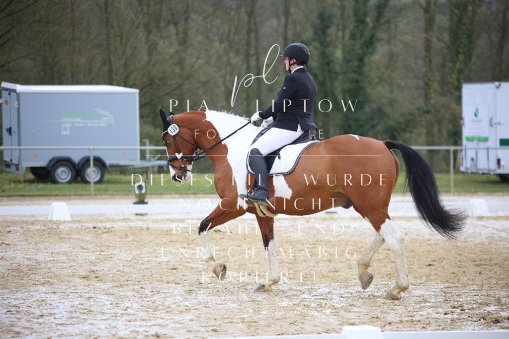 IMGT3850 | pl-fotografie