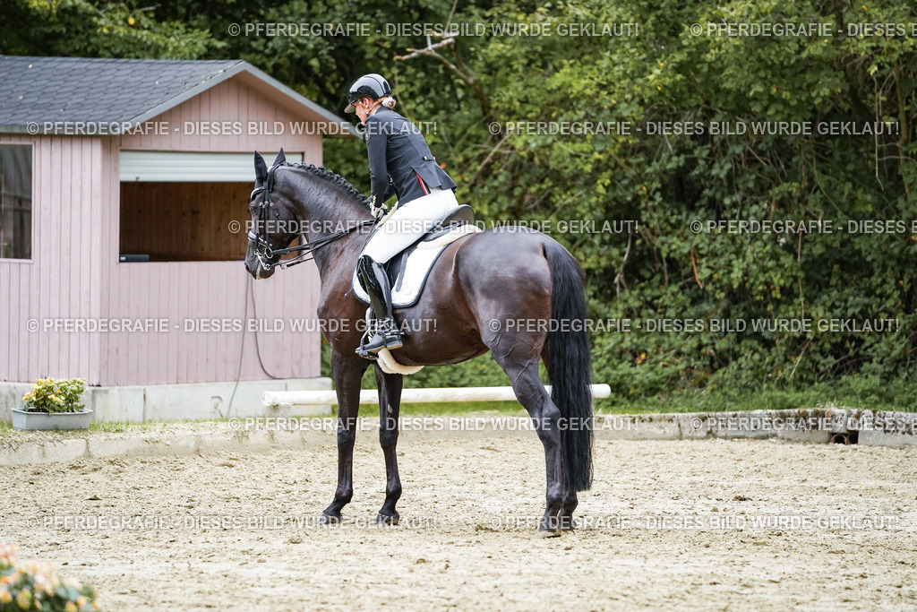 DSC01552 | Pferdegrafie