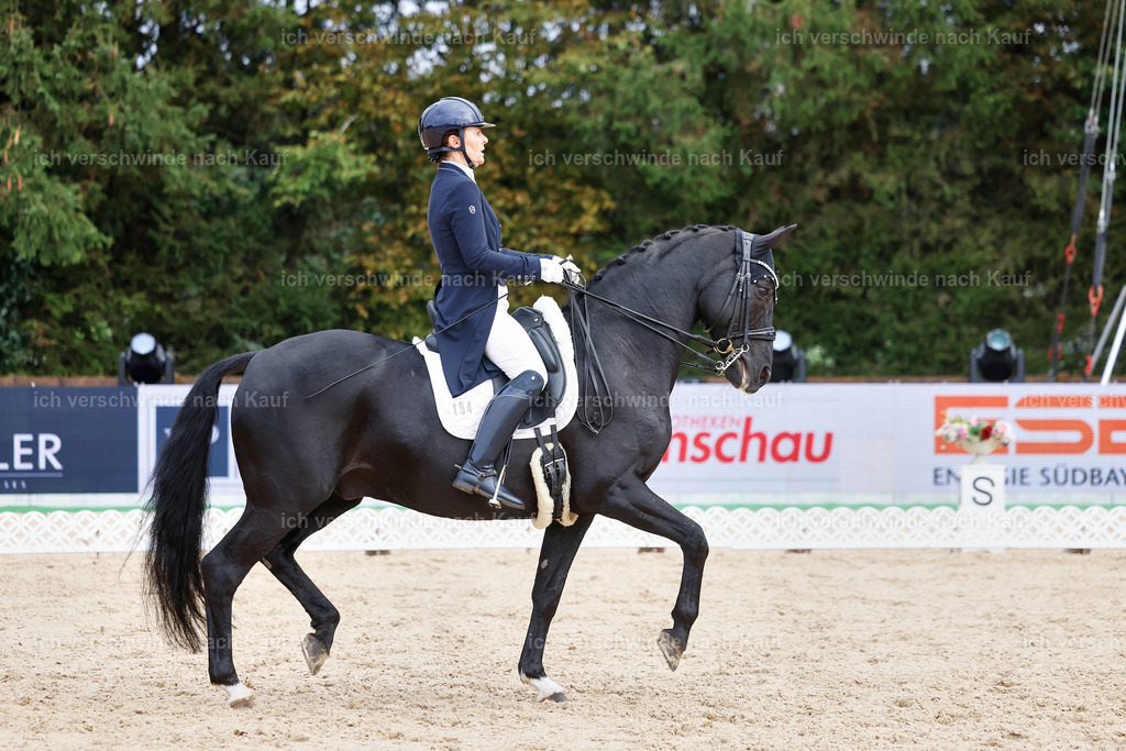 07-194-DRESSUR  S___  -StoibPH-5009 | working equitationturnier fotograf videograf stoibphotography marixx film working equitation deutschland reitsport turnierfotografie eventfotografie equestrian events