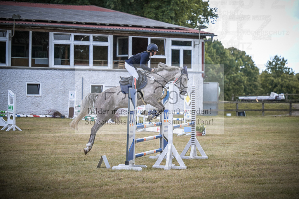 DOS_0056 | Entdecke hochwertige Reitturnierfotos von Foto Oger. Professionell, emotional und authentisch – jetzt Lieblingsmomente im Shop bestellen.Deutschlandweite Turnierfotografie. - Realisiert mit Pictrs.com