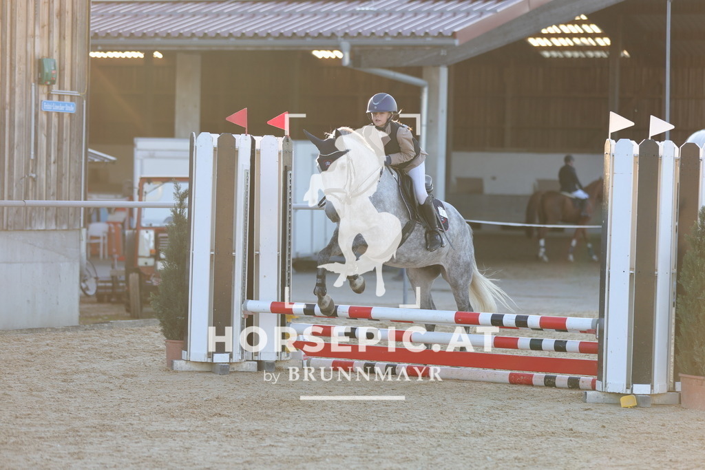 0P6A2362 | Willkommen bei Brunnmayr - Design & Fotografie – Ihrem Spezialisten für Reitturniere und Pferdeveranstaltungen in Oberösterreich, Salzburg und Bayern! Seit über 17 Jahren sind wir leidenschaftlich dabei.