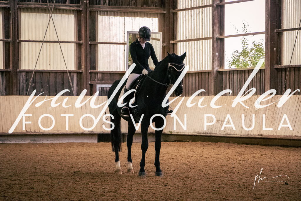 IMG_2589 | Erleben Sie dynamische Sport- und emotionale Tierfotografie in Süddeutschland mit Fotos von Paula. Spezialisiert auf Pferde- und Hundefotografie sowie Sportevents. Kontaktieren Sie mich für einzigartige und ausdrucksstarke Bilder Ihrer besonderen Momente. - Realisiert mit Pictrs.com