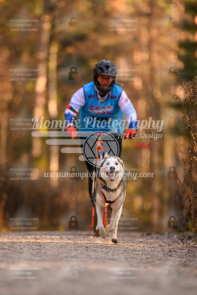 MompixPhotography_DM_AKDM_SO_2025_Scooter-226 | PayLife