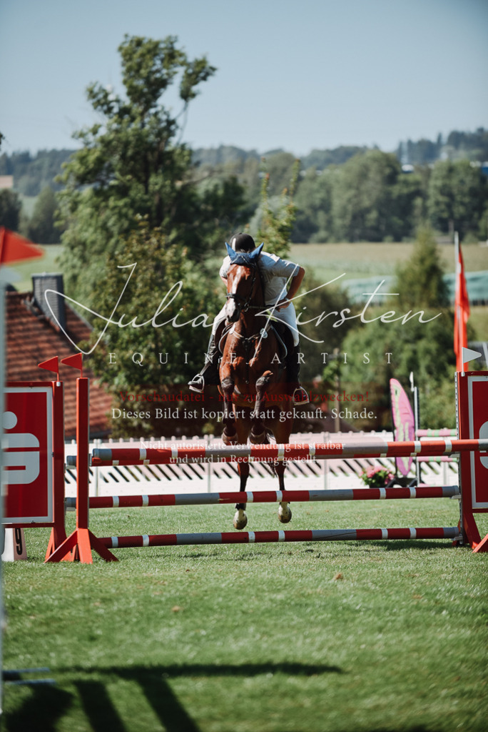 DSC_3294 | Pferde- und Turnierfotografie in Westsachsen. Pferdeportraits, Auftragszeichnungen und intuitive Kunst.