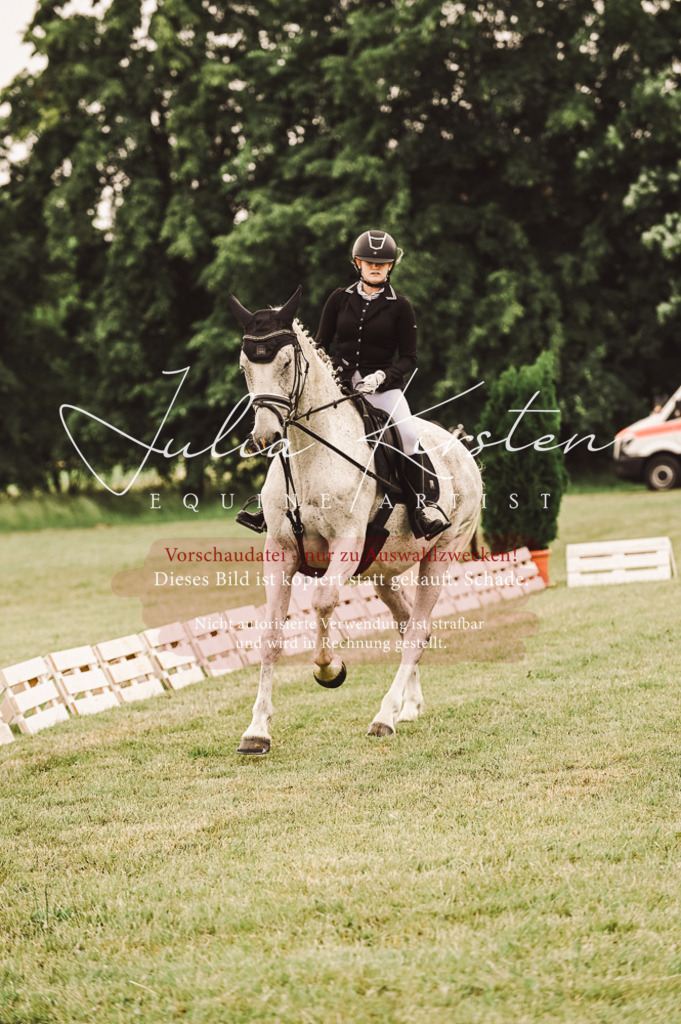 DSC_4997 | Pferde- und Turnierfotografie in Westsachsen. Pferdeportraits, Auftragszeichnungen und intuitive Kunst.
