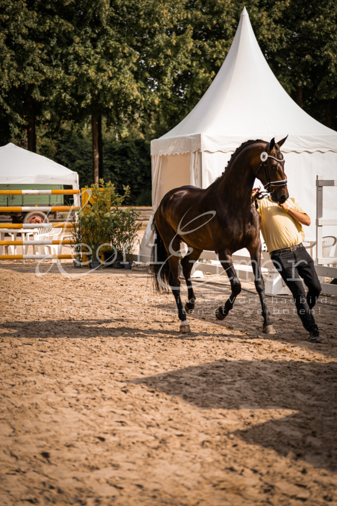 FrER00163 | Leoni Ertmer Photography - Realisiert mit Pictrs.com