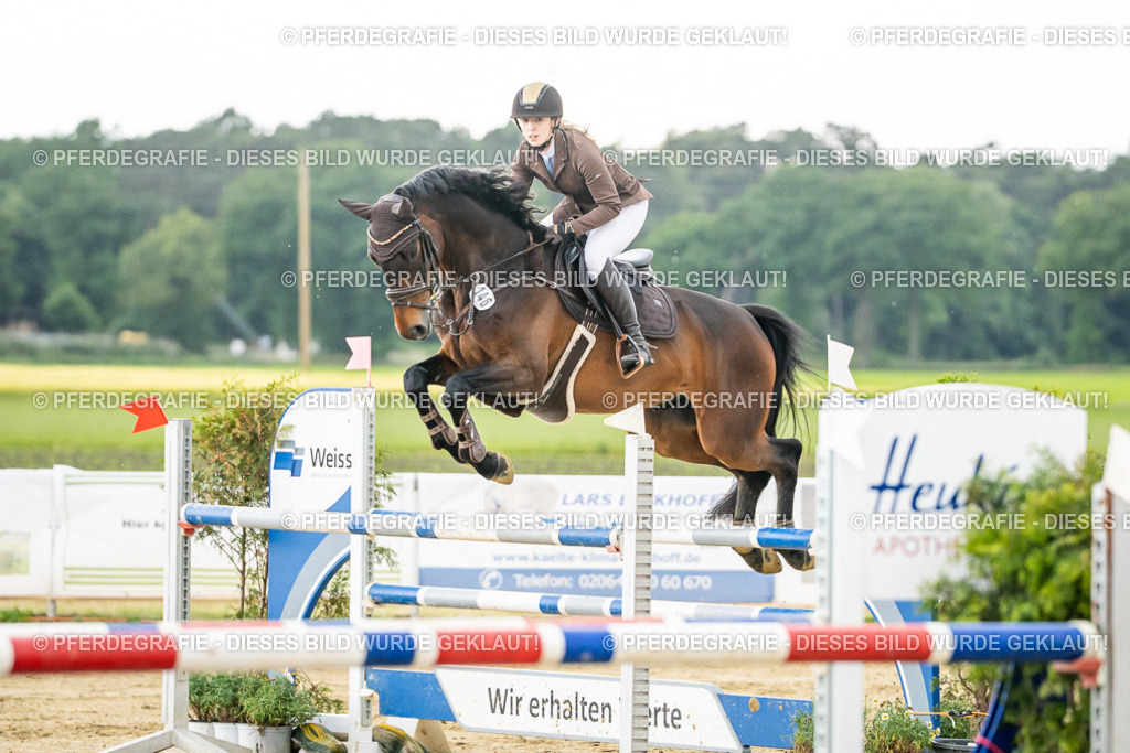 DSC06632 | Pferdegrafie