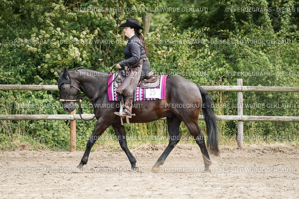 DSC09276 | Pferdegrafie