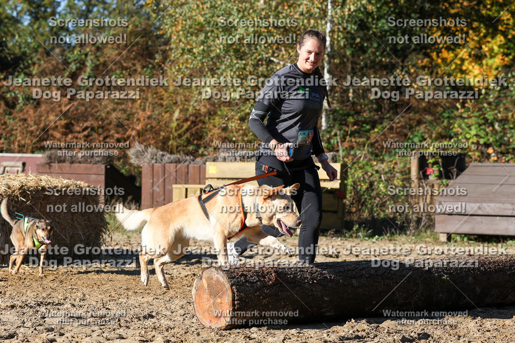 Dog Paparazzi - Strongdog 10-25-1995 | Dog Paparazzi Jeanette Grottendiek Fotografie & Videografie - Realisiert mit Pictrs.com